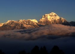 Ghorepani-Poonhill-Ghandruk-Trekking