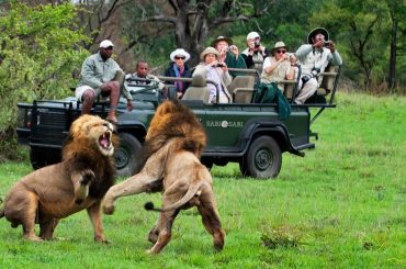 Jeep Safari in Chitwan