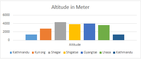 Tibet Overland Tour Drive In/Out - Altitude Guide